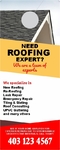 Need Roofing Expert 