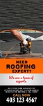 Need Roofing Expert ?